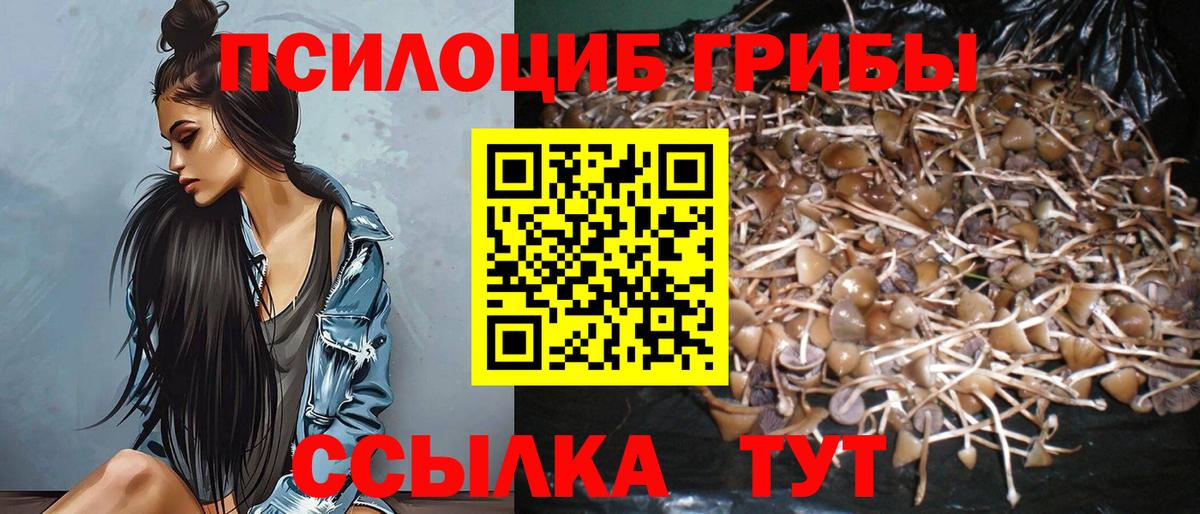 Псилоцибиновые грибы Cubensis  Вход с VPN  Рубцовск  продажа наркотиков  Псилоцибиновые грибы MAGIC MUSHROOMS 